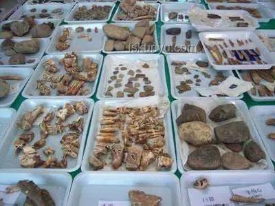 汉代遗址惊现2000多年前瓜皮：历史饮食文化的珍贵见证
